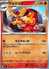 画像: 【ノーマル】マルヤクデ