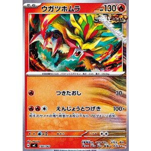 画像: 【ノーマル】ウガツホムラ