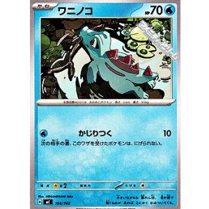 画像: 【ノーマル】ワニノコ (164)