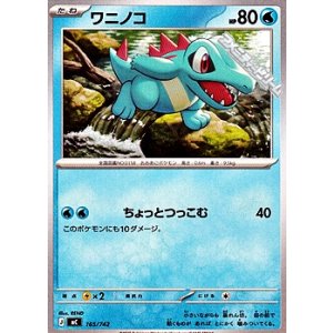 画像: 【ノーマル】ワニノコ (165)