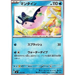 画像: 【ノーマル】マンタイン (172)