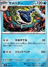 画像: 【ノーマル】サメハダー