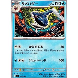 画像: 【ノーマル】サメハダー