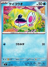 画像: 【ノーマル】ケイコウオ