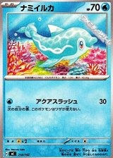 画像: 【ノーマル】ナミイルカ