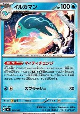 画像: 【ノーマル】イルカマン