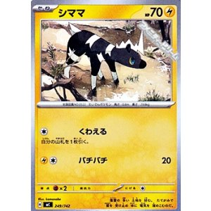 画像: 【ノーマル】シママ (249)