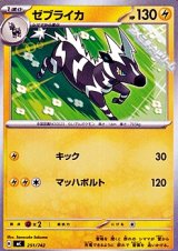 画像: 【ノーマル】ゼブライカ (251)