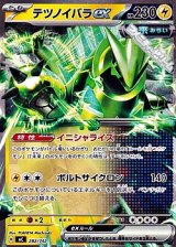 画像: 【ノーマル】テツノイバラex