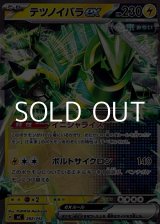 画像: 【ノーマル】テツノイバラex