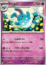 画像: 【ノーマル】マリルリ