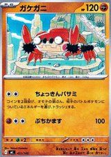 画像: 【ノーマル】ガケガニ