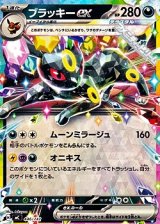 画像: 【ノーマル】ブラッキーex