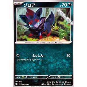画像: 【ノーマル】ゾロア