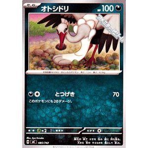 画像: 【ノーマル】オトシドリ