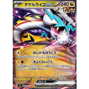 画像: 【ノーマル】タケルライコex