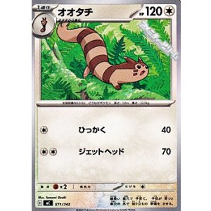 画像: 【ノーマル】オオタチ