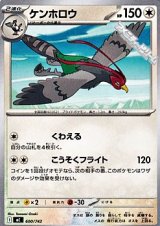 画像: 【ノーマル】ケンホロウ