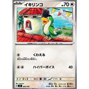 画像: 【ノーマル】イキリンコ