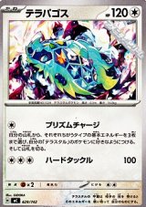 画像: 【ノーマル】テラパゴス
