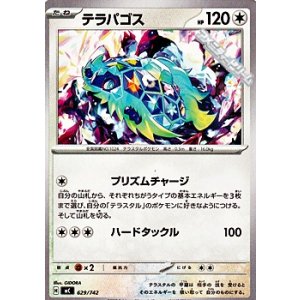 画像: 【ノーマル】テラパゴス
