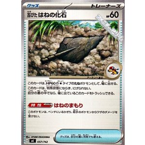 画像: 【ノーマル】古びたはねの化石