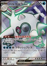 画像: 【SR】ハルクジラex