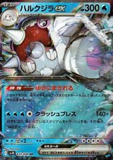 画像: 【RR】ハルクジラex