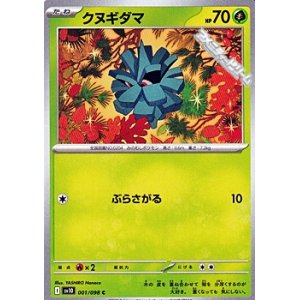 画像: 【C】クヌギダマ