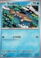 画像: 【C】サシカマス