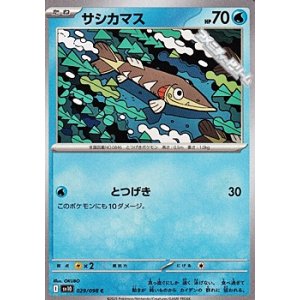 画像: 【C】サシカマス