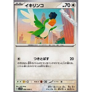 画像: 【C】イキリンコ