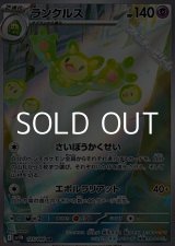 画像: 【AR】ランクルス