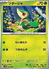 画像: 【C】ツタージャ
