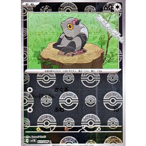 画像: 【ミラー】マメパト