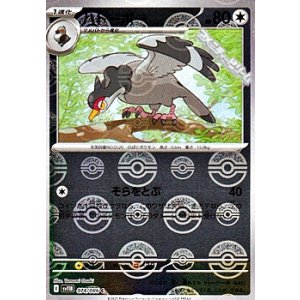 画像: 【ミラー】ハトーボー