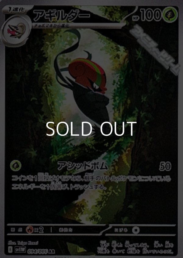 画像1: 【AR】アギルダー (1)