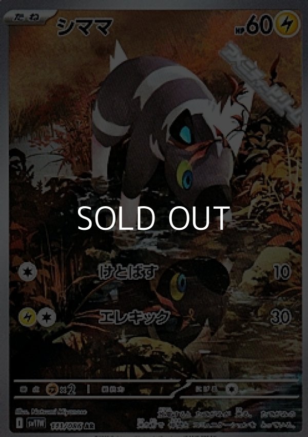 画像1: 【AR】シママ (1)