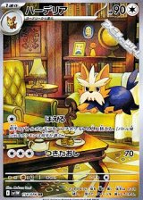 画像: 【AR】ハーデリア
