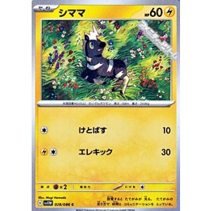 画像: 【C】シママ