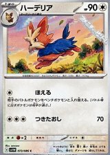 画像: 【C】ハーデリア