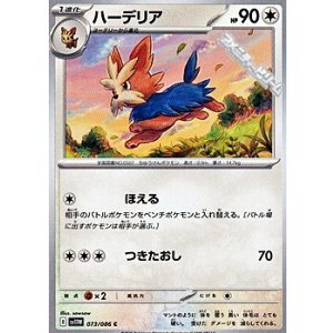 画像: 【C】ハーデリア