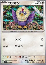 画像: 【C】ワシボン