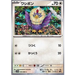 画像: 【C】ワシボン