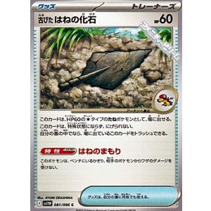 画像: 【C】古びたはねの化石