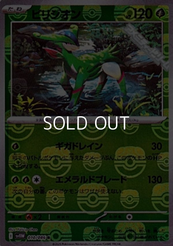 画像1: 【マスターボールミラー】ビリジオン (1)