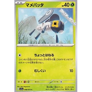 画像: 【C】マメバッタ