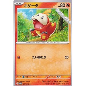 画像: 【C】ホゲータ