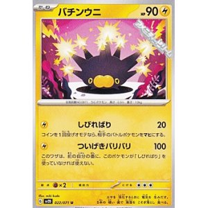 画像: 【U】バチンウニ