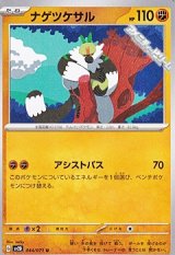 画像: 【U】ナゲツケサル